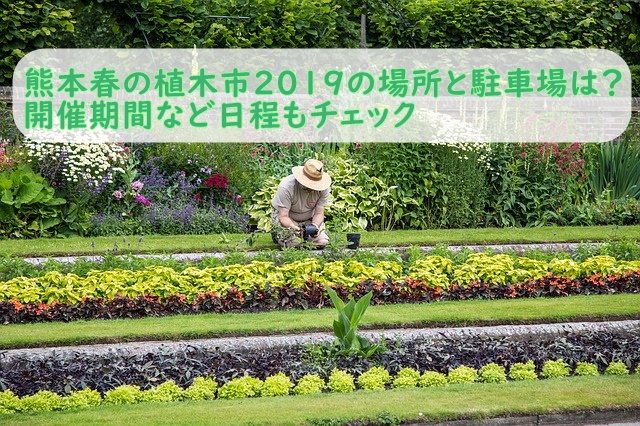 熊本春の植木市19の場所と駐車場は 開催期間など日程もチェック Korean Days